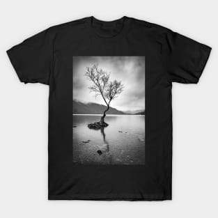 Lone Tree at Llyn Padarn T-Shirt